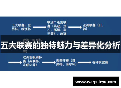 五大联赛的独特魅力与差异化分析
